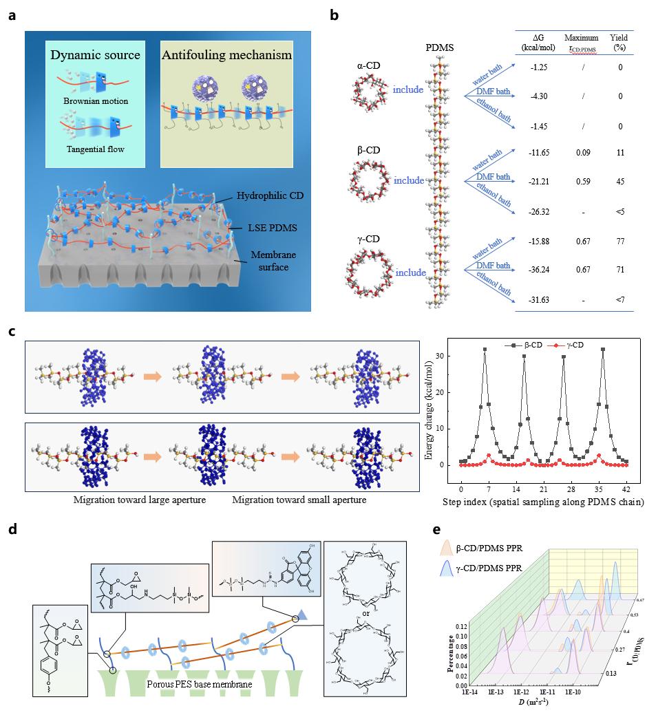 超分子结构与动态性模拟、表征